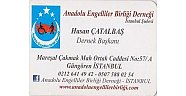 Anadolu Engelliler Birliği Derneği  -  Hasan Çatalbaş