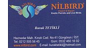 NİLBIRD - Burak TETİKLİ